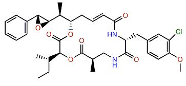 Cryptophycin 54